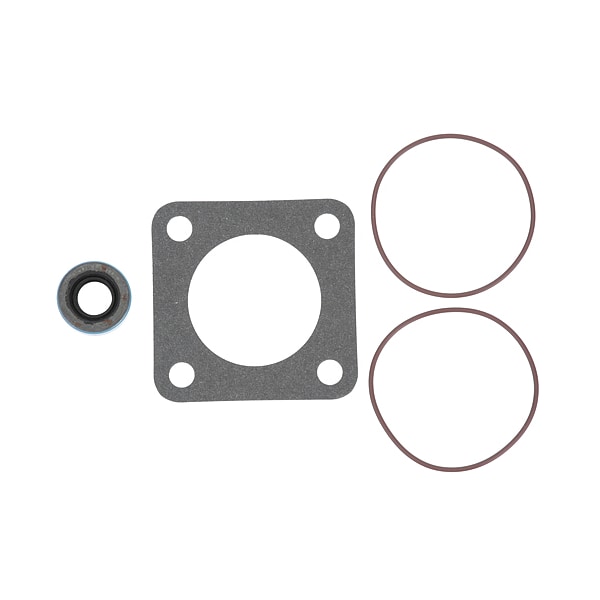 Motor Pump Kit 115V